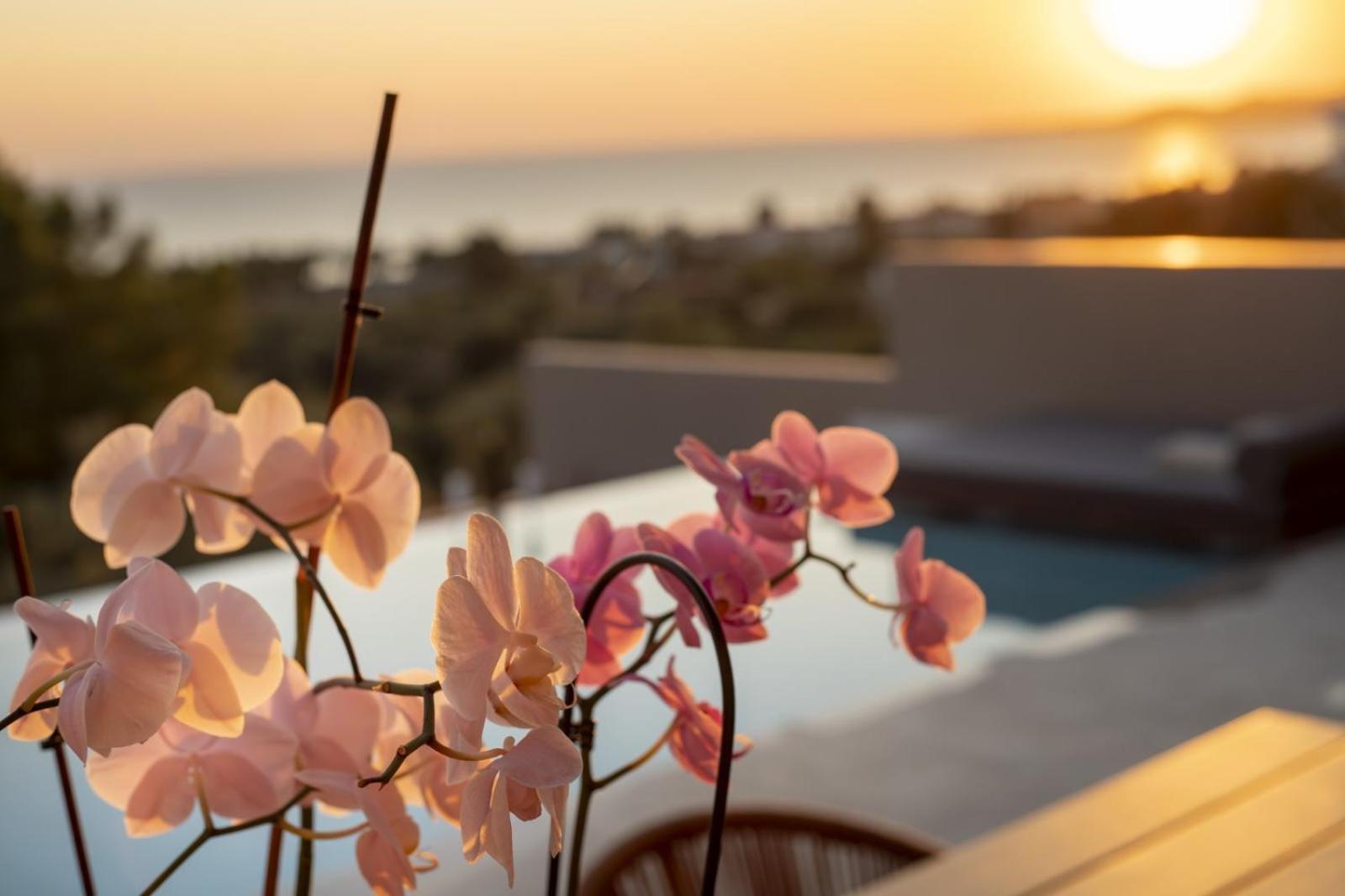 Lithos Villas - Nikiti Halkidiki ภายนอก รูปภาพ
